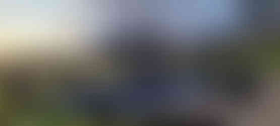 Long Range Gewehr mit HST Barreled Action (System A30) und MDT Chassis