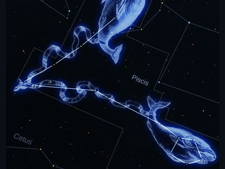 No tenemos que avanzar rápido, solo tenemos que avanzar con paciencia