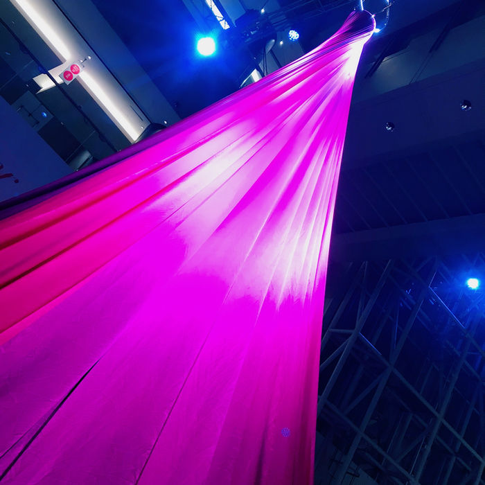 飲み、飲み、飲み