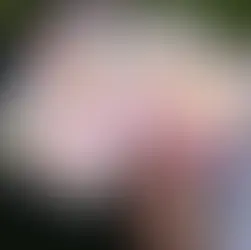 What the Bobbie Goods Coloring Craze Can Teach Our IB Artists?