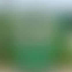 France: Visiting Claude Monet's House In Giverny, France