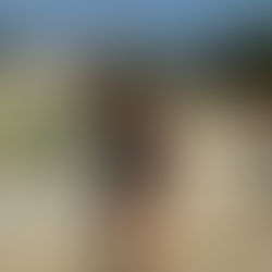 Barcelona Moments: Art, Architecture & Soulful Connections