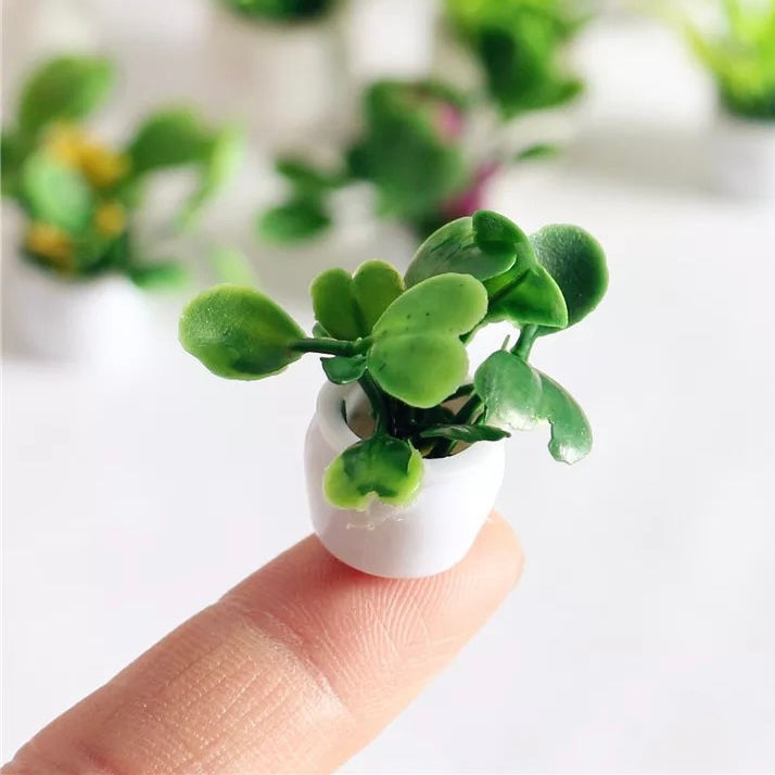 Thumbnail: Mini Plants and Flower pots -Set of 2 