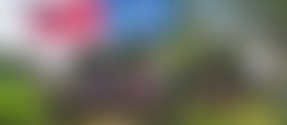 Jornada Deportiva Universitaria #FACA