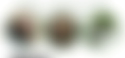 Gran Jornada de Siembra