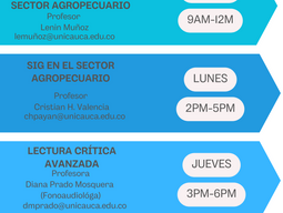 Electivas 2024-1