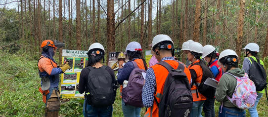 Prácticas de campo Smurfit Kappa