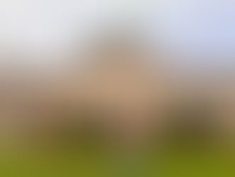 Estudiante de Ingeniería Forestal en intercambio académico