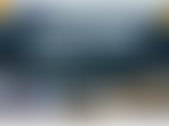 Mid-Year Review: Celebrating Milestones and Successes in 2024