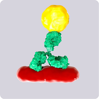 INMUNOLOGIA LANSIONBIO PRINCIPIO