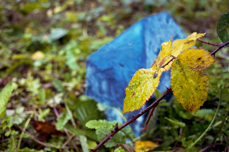 leaf, oof house edit.tif