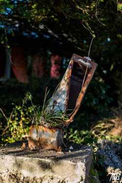 Les Artistes Perdus  (10)