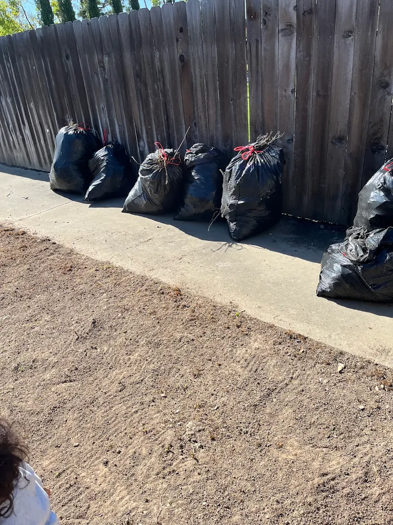 Landscape photo of filled black trash bags lined up along a wooden fence on a sunny day
