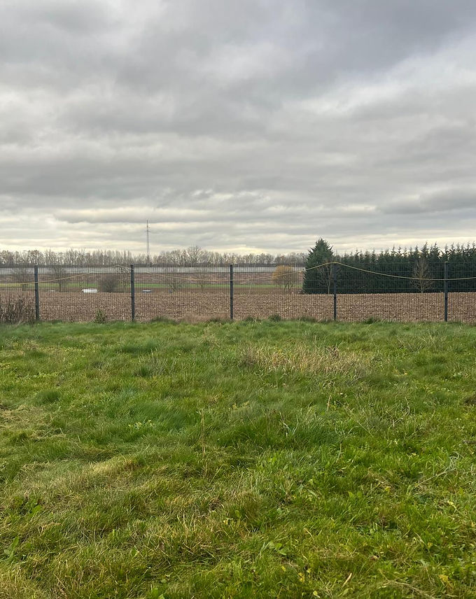 WhatsApp Image 2026-01-20 at 09.08.52.jpeg