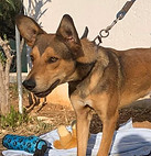 76661232_990008398019919_206013625815112