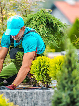 Specialist Landscaping: Transforming Areas with Experience