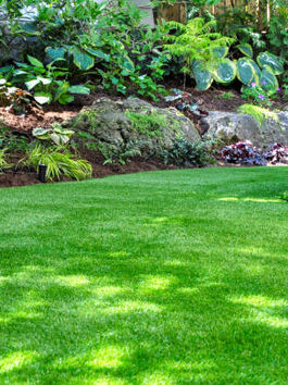 Landscape Design Experts: Changing Your Exterior Space
