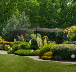 Enhancing Your Outdoor Room: The Significance of Expert Landscaping Services
