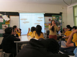 Vegetación y flora típica