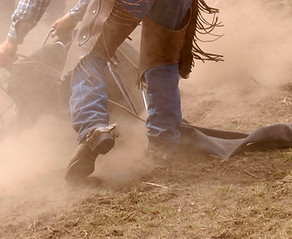Cowboy at Work