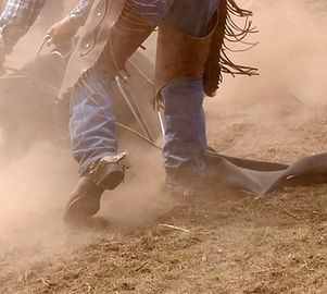 Cowboy at Work
