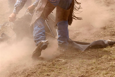 Cowboy bei der Arbeit