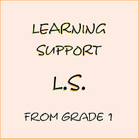 Learning support: Service from 1st grade. Including homeworks monitoring, study strategies  and more to improve student academic efficiency and develop autonomy - online or in person