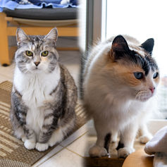 Mila & Alice