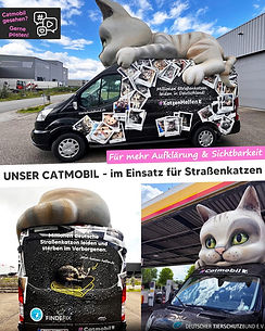 Das Catmobil kommt am 6.11. um 16 Uhr zu uns ins Tierheim!