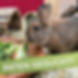 Werde Pate unserer Kaninchen-Seniorengruppe🐰