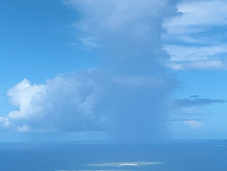 7月23日(火) 暑いですね