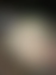 5月16日(金) 1つにかける想い