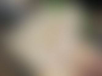 5月16日(金) 1つにかける想い