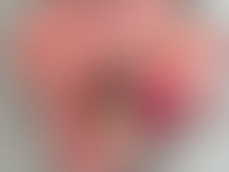 2月2日(月) 雪が多い