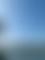 1月15日(日) 新鮮感