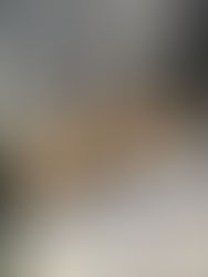 1月6日(金) 準備準備