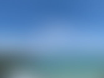 7月7日(月) 夏ですね