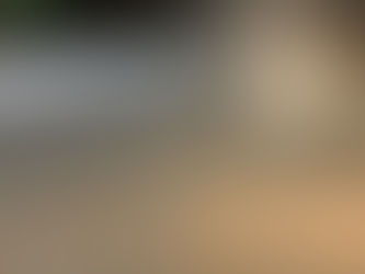 11月12日(水) 怒涛の1か月