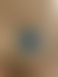 9月28日(日) 餐具