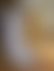 11月25日(火) リブランディング®