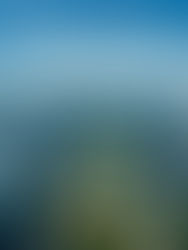 8月18日(月) 夏休み