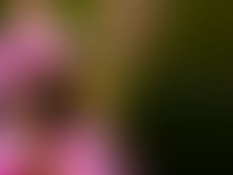 Looking Forward to Warmer Days….