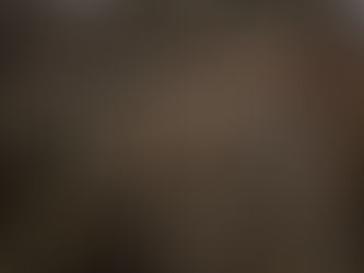 2 Doves of a Feather