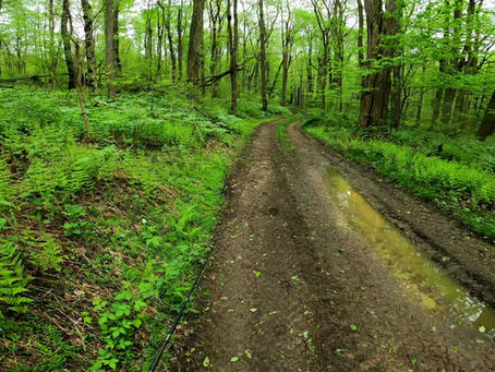 My Fishing Disaster Early 2024