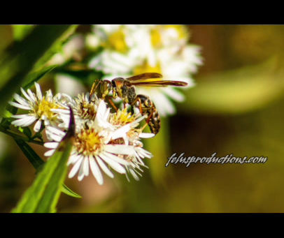 Photo Recap September 25