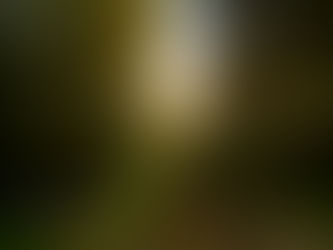 Sunset at Buck Brothers Lodge