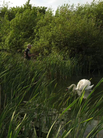 How to catch carp using flies