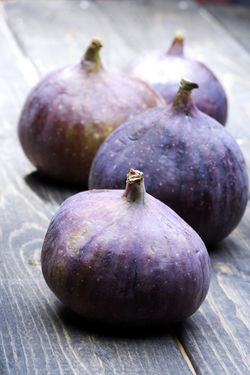 shutterstock_272924099
