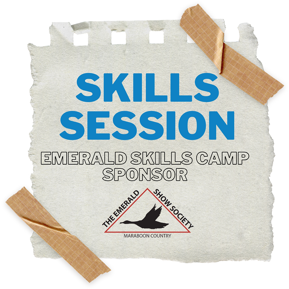 Skills Workshop Sponsor