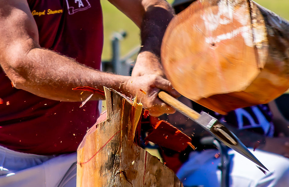 Favourites Emerald Show 2025_Sarah Duguid © (38).jpg